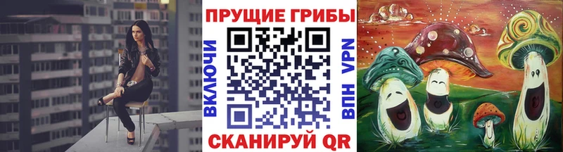 цены наркотик  Кызыл  Псилоцибиновые грибы мухоморы 